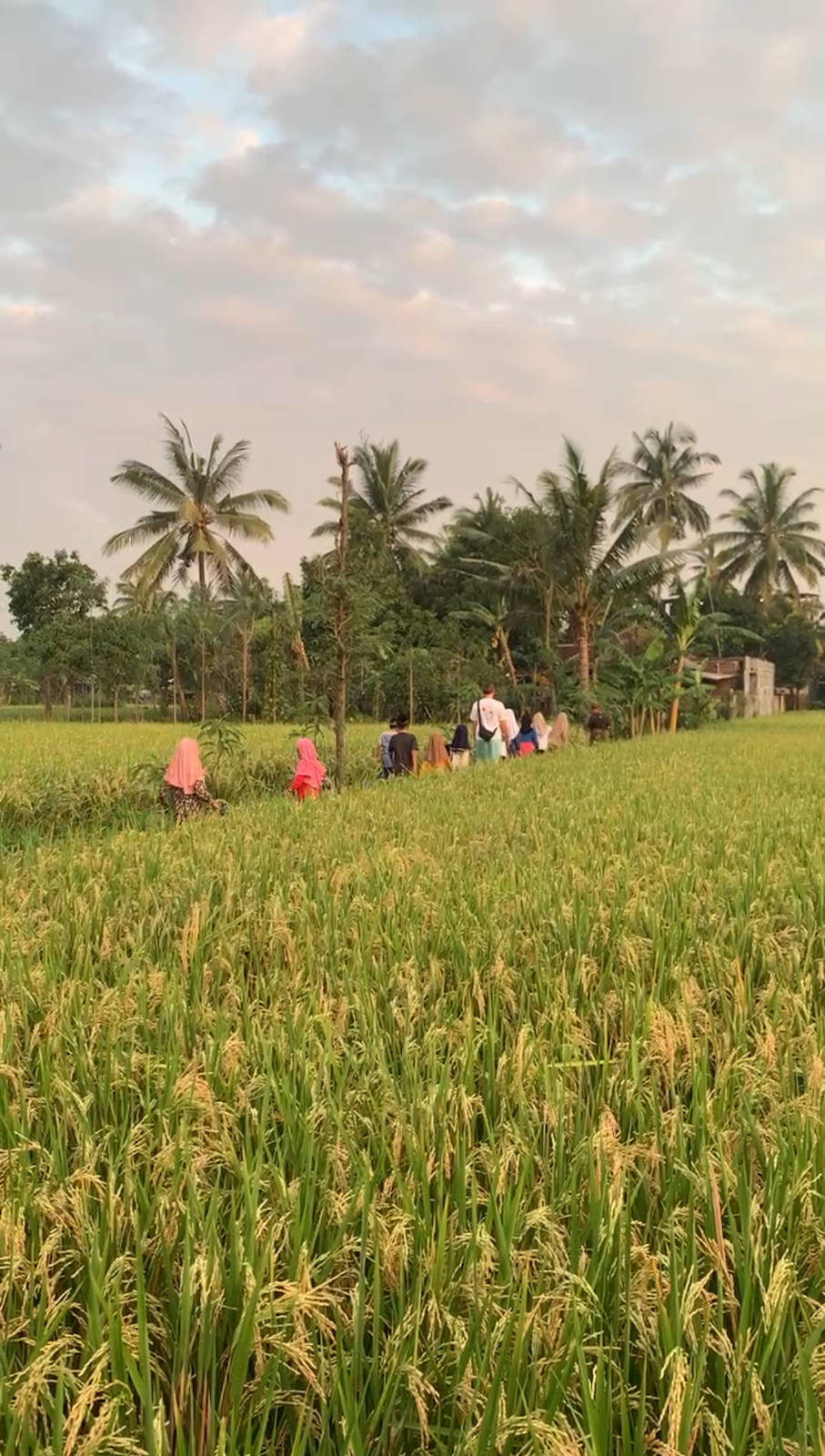 Voyage Souvenir Lombok Bali Indonesie 1